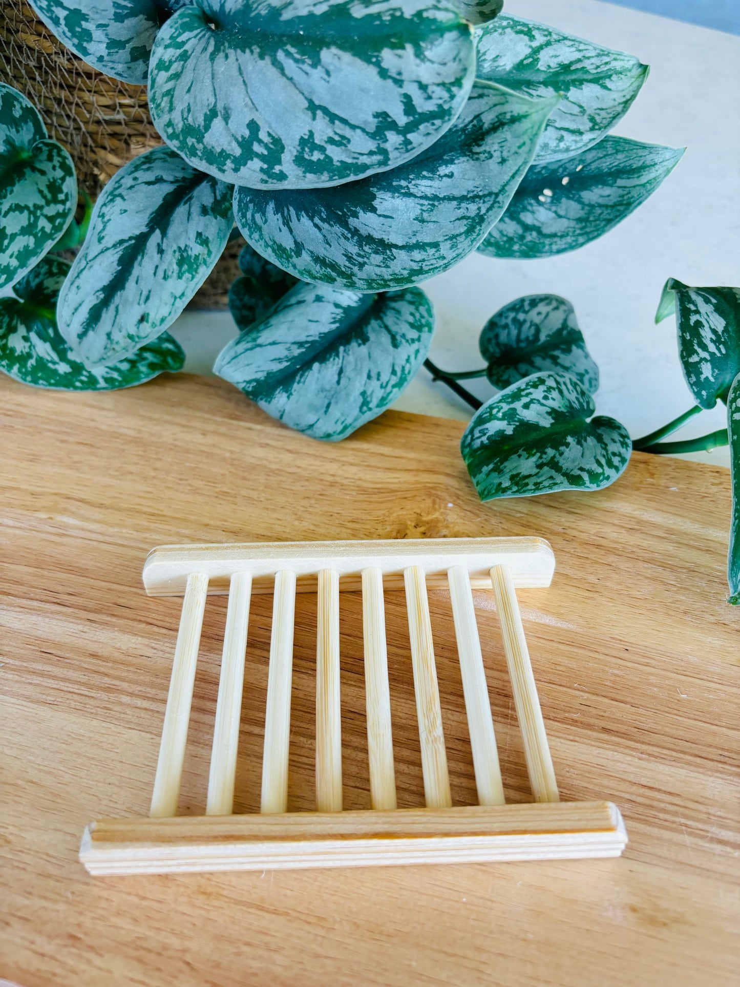 wooden soap dish